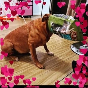 Meet your Posher, Kloe midge harriet